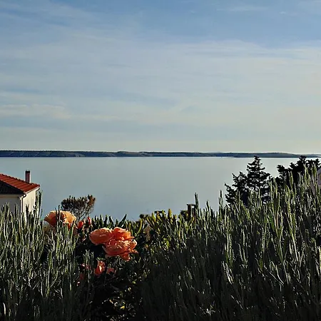 House Natali 70m From The - Free Ev Up * Rtina
